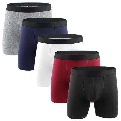 China 2021 China Factory Solid Colors Red Antibacterial Seamless Mens Boxer Briefs Boxer Shorts Briefs Mens Underwear for sale