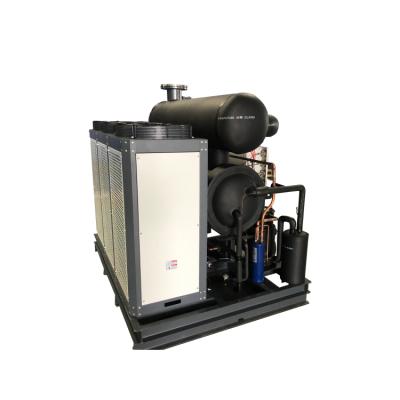 China Medicine Treating Manufacturer Customized Water Cooled Refrigerant Dryer for sale