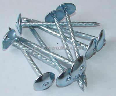 China Head Cap Umbrella Type Galvanized Roofing Nail for sale