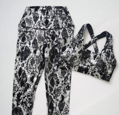 China Ladies Fitness Apparel Snakeskin Breathable Mesh Polyester Yoga Two Piece Bra Pants Set Women for sale