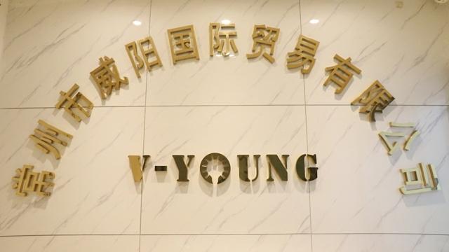 Verified China supplier - Changzhou V-Young International Trading Co., Ltd.