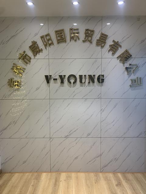 Verified China supplier - Changzhou V-Young International Trading Co., Ltd.