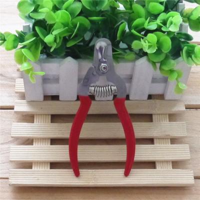 China Viable Scissors Cat Animal Dog Puppy Poodle Toe Nail Claw Grooming Cutting Stainless Steel Non Slip Handle Pet Clippers for sale