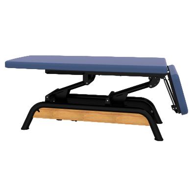 China Milton Basic S27 Fully Electric Massage Table Physiotherapy Bed Physiotherapy Bed Physiotherapy Treatment Board MTB for sale