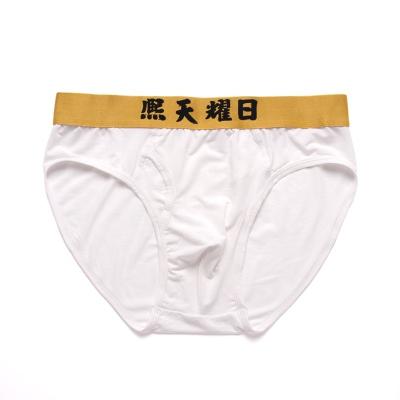 China Micro Antibacterial Spandex 80S Modal Mens White Brief for sale