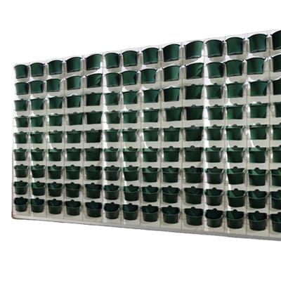 China China Hydroponic Durable and Low Cost Hydroponic Green Garden Wall Late-Maintenance Vertical Wall for sale