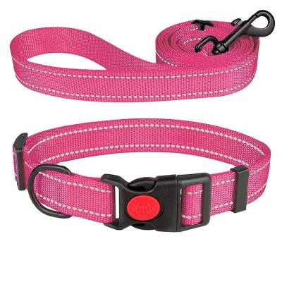 China Personalized pink nylon collar with leash for the puppy for sale