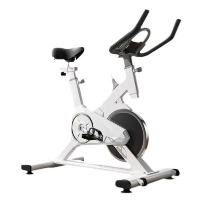 China Silent Household Dynamic Bicycles Aerobic Equipment Stepless Resistance Adjustment à venda