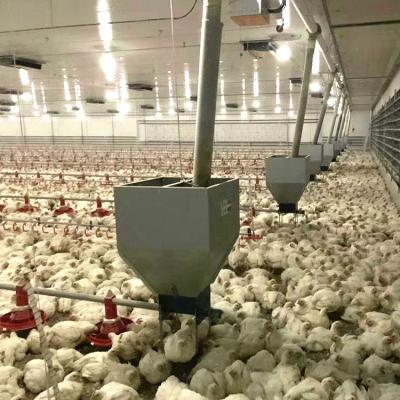 China Farms Factory Supply Modern Automatic Broiler Chicken Equipment For Poultry Farms for sale