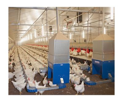 China Farms Exquisite Art Hanging Chain Feeding System Hen Chain Feeding System In Breeder House for sale