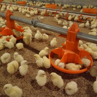 China Simple Demolition Solid And Durable Wholesale Chicken Feeders Automatic Poultry Farm Equipment For Layers Feeding Pan Poultry Feeding Tray for sale