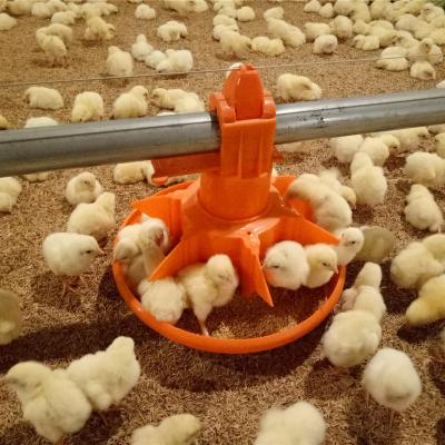 China Single Demolition Solid And Durable Wholesale Chicken Feeders Automatic Poultry Farm Equipment For Poultry Farm Equipment Chicken House Layers Automated Poultry Farming for sale