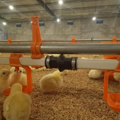 China Farms Drinkers Poultry Equipment Broiler System Water Feeding Nipples For Chickens Poultry Water Nipples for sale