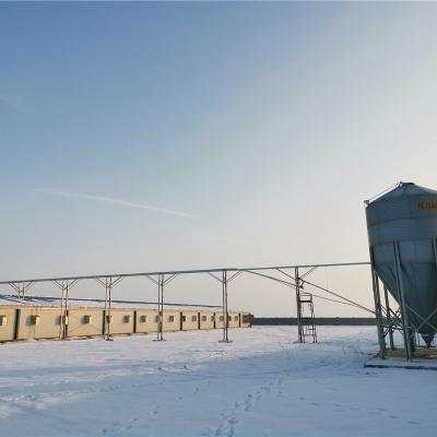 China Farms Silo in Poultry Feed Chicken Poultry Farm Equipment Broiler House Poultry Farm for sale