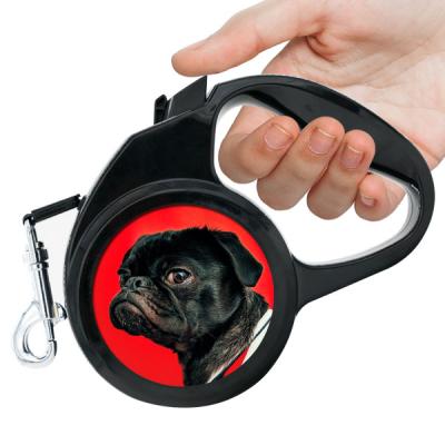 China Personalized Automatic Pet Leash Customized Dog Leash for sale