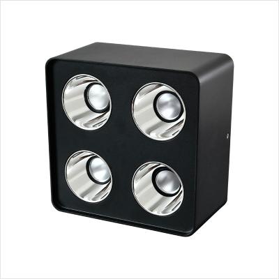 China 32W Apartment Home Office Foyer Lamp Retail Spotlights Outdoor Mounted Spotlights COB Led Spot Light for sale