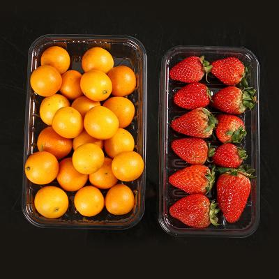 China Disposable Transparent Plastic Bowl Trays Disposable Plastic Food Buckle Fruit Food Box Container Pet Food Blister Tray Packaging for sale