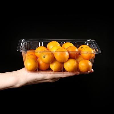 China Factory Made Clear Plastic Tray Blister Buckle Disposable Fruit And Vegetable Packaging Box Pressure-Resistant Food Packaging for sale