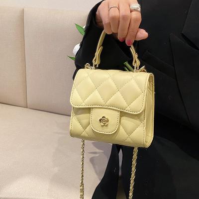 China New Fashion Small Chestnut Water Scented Wind Slope Shoulder Bag Scented Cross Body Bag Streamline Chain For Women for sale