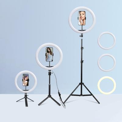 China PORTABLE Professional 18 LED 22 Inch Selfie Tripod Phone Photography Radio with Ring Light for sale