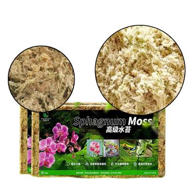 China Hot Selling Long Fiber Sphagnum Sustainable Brick Custom Sphagnum Moss Compressed Dry Peat Moss For Reptile Substrate Plants for sale