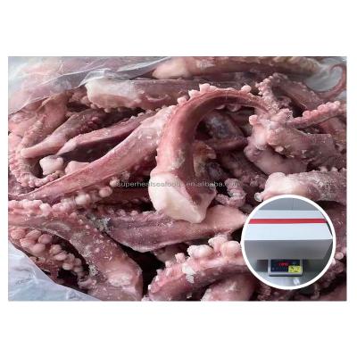 China 2022 FROZEN Hot Sale Frozen Squid Tentacle IQF Frozen Tentacle for sale