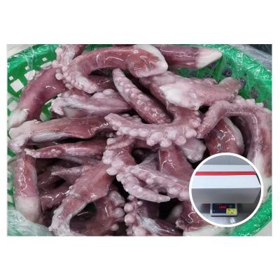 China Best Selling Nutritious Frozen Squid Tentacle 40% Glaze Tentacle Squid for sale