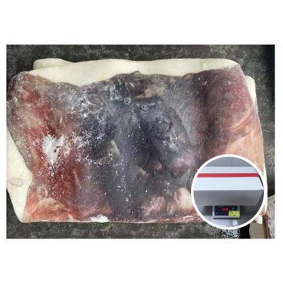 China Good Quality Nutritious Squid Meat All Size Frozen Squid Fillet for sale