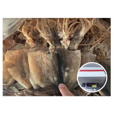 China New Arrival Nutritious Illex Squid 10kg Carton Packing Dried Squid for sale