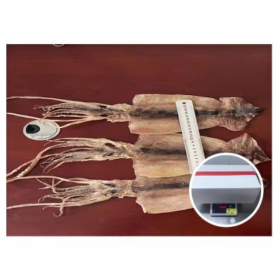 China Wholesale Price Nutritious Dry Giant Squid for sale