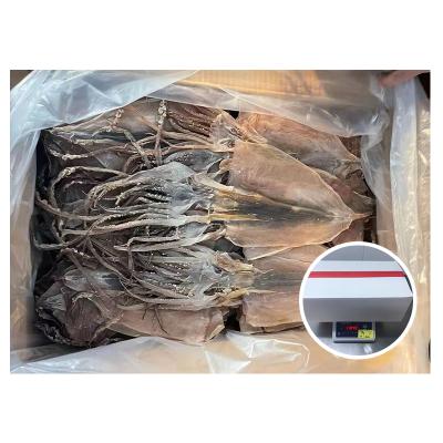 China Nutritious Hot Sale Seafood Dried Squid Dried Customizable Squid for Cook Vietnam Market for sale