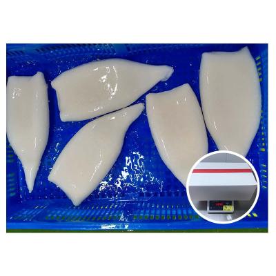 China Europe Indian Ocean Nutrient Standard Squid Tube Frozen Iqf Squid Tube for sale