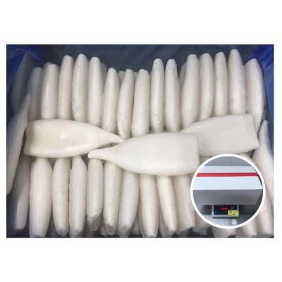 China Big quality squid tube size U3U5U7 nutritious wholesale frozen squid tube for sale