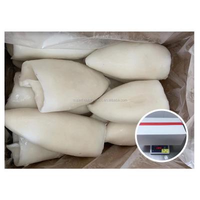 China Nutritious High Quality IQF Giant Squid Tube Black Squid Tube Frozen Squid Tube for sale