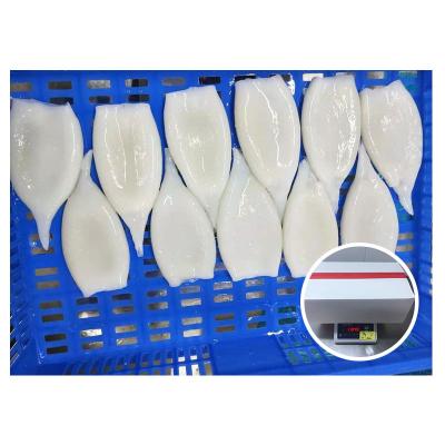 China Nutritious Customizable Squid Tube Frozen Squid Exporters Seafood Tube for sale