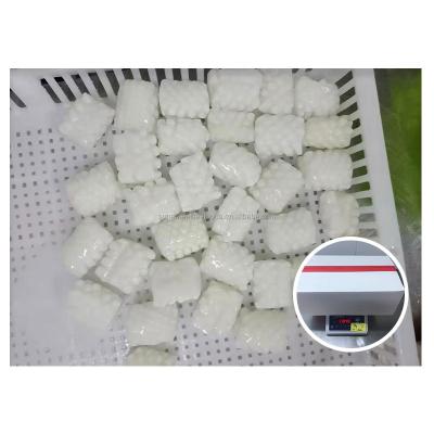 China Low price nutritious squid flower with good quality frozen squid flower for sale