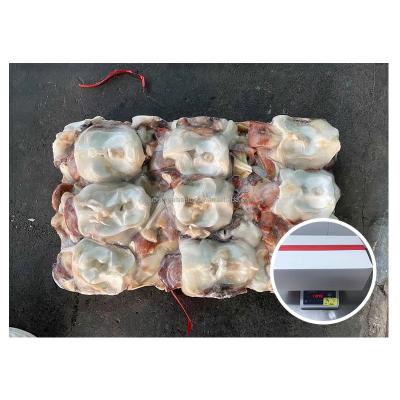 China Bqf Factory Price Big Size Indian Ocean Nutritious Squid Neck Frozen Squid Neck for sale