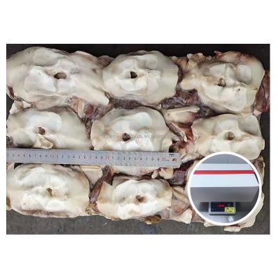 China NATURE Hot Selling Peru Squid Calamari Neck For Market BQF Giant Frozen Squid Neck for sale