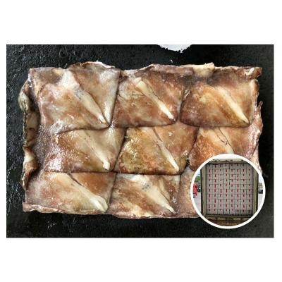 China BQF Nutritious Fresh Frozen Squid Wing for sale