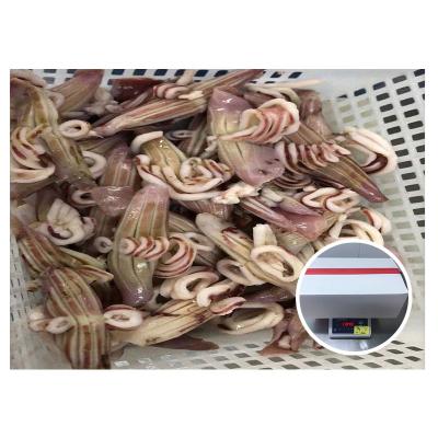 China Factory Nutritious Supplier Cheap Wing Flower Frozen Squid for sale