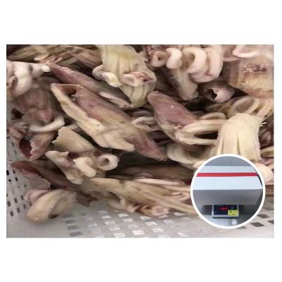 China Price 40% Nutritious Wing Flower Cheap Glaze Frozen Squid for sale