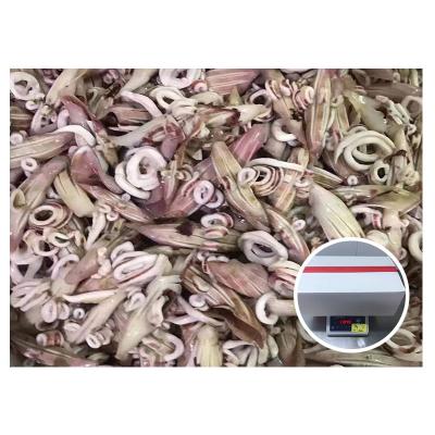 China New Iqf 40% Nutrient Processing Glaze Frozen Squid 1kg/Ctn Wing Flower for sale