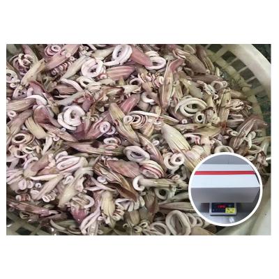 China Nutritious Hot Sale Indian Squid for Asia Market Wing Flower Frozen Squid for sale