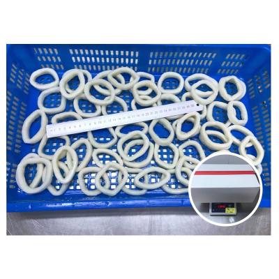 China Nutritious Eu New Arrival Illex Squid Standard Calamari Ring Skin Off Squid Ring for sale