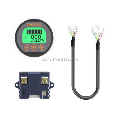 China Ups Car E-bike BW-TR16 100V50A Battery Charge and Discharge Battery Level Indicator Battery Capacity Tester for sale