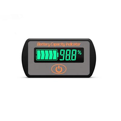 China Lifepo4 12v 24v 36v 48v Battery Capacity Indicator Lifepo4 12v 24v 36v 48v Lithium Battery Capacity Meter Power Tester Lead Acid Batteries Lithium Batteries BW-LY7 for sale