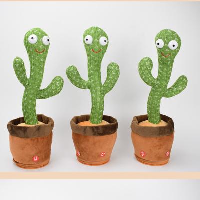 China Funny Talking Cactus Plush Toy Singing Dancing Kids Bailarin Cacti Drums Educational Music Room Decoration D.C.A. for Kids for sale