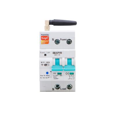 China GXPR GXB1-125 2P China Industrial Adjustable Current Plastic Waterproof Box Miniature Circuit Breakers TUYA for sale