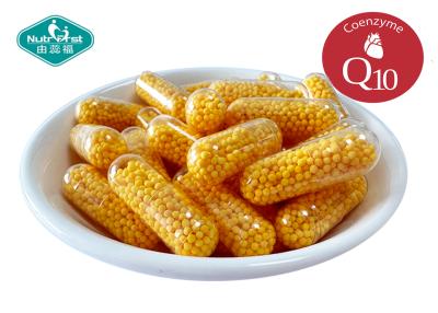 China OEM Vegan Coenzyme Q10 CoQ 10 Sustained Release Beadlets Micopellets Capsules for Heart Health for sale