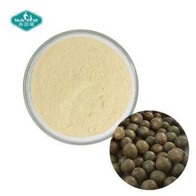 China Sweetener 80% Mogrosides Siraitia Grosvenorii Extract of  Herbal Extract/Plant Extract for sale